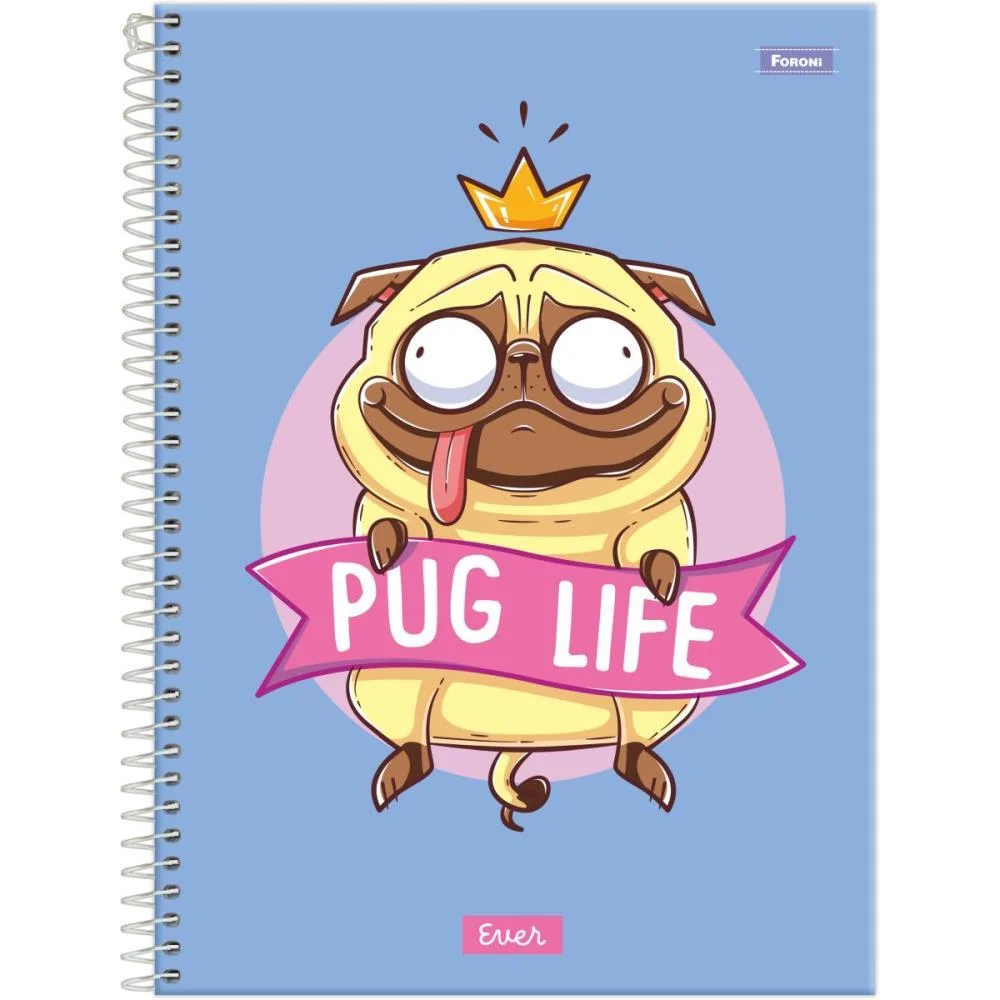 Caderno 10X1 Capa Dura Ever 160F Foroni (Pct.c/04)
