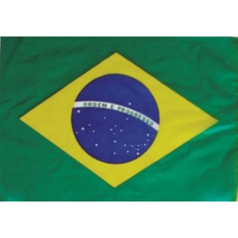 Copa Do Mundo Bandeira Brasil S/Hast.30X47Cm Real Seda (Pct.c/50)
