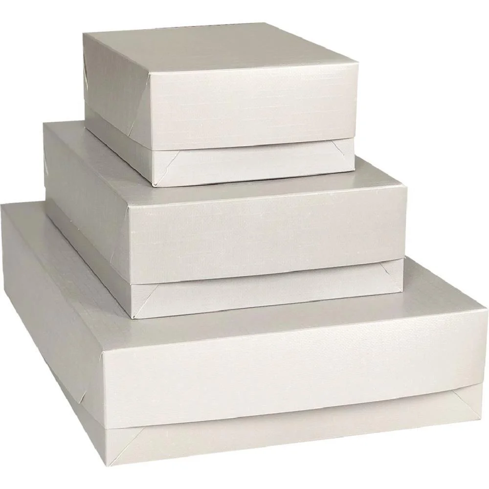 Caixa Para Presente Com Tampa Fashion Pq 19X14,5X7,5 Sortido Cristina (Pct.c/20)