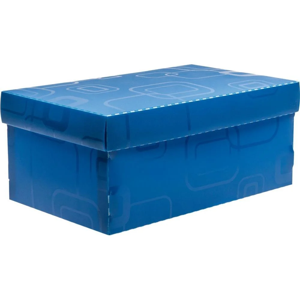 Caixa Organizadora Top Line Sapato 28X17X12Cm.az Dello (Unidade)