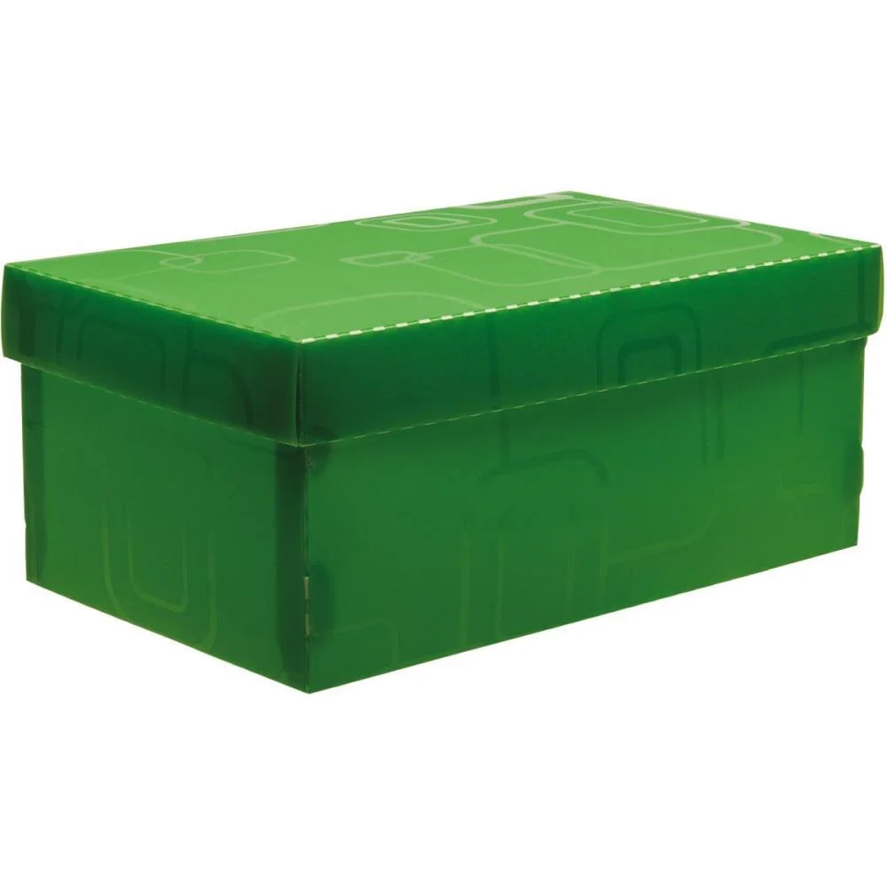 Caixa Organizadora Top Line Sapato 28X17X12Cm.vd Dello (Unidade)