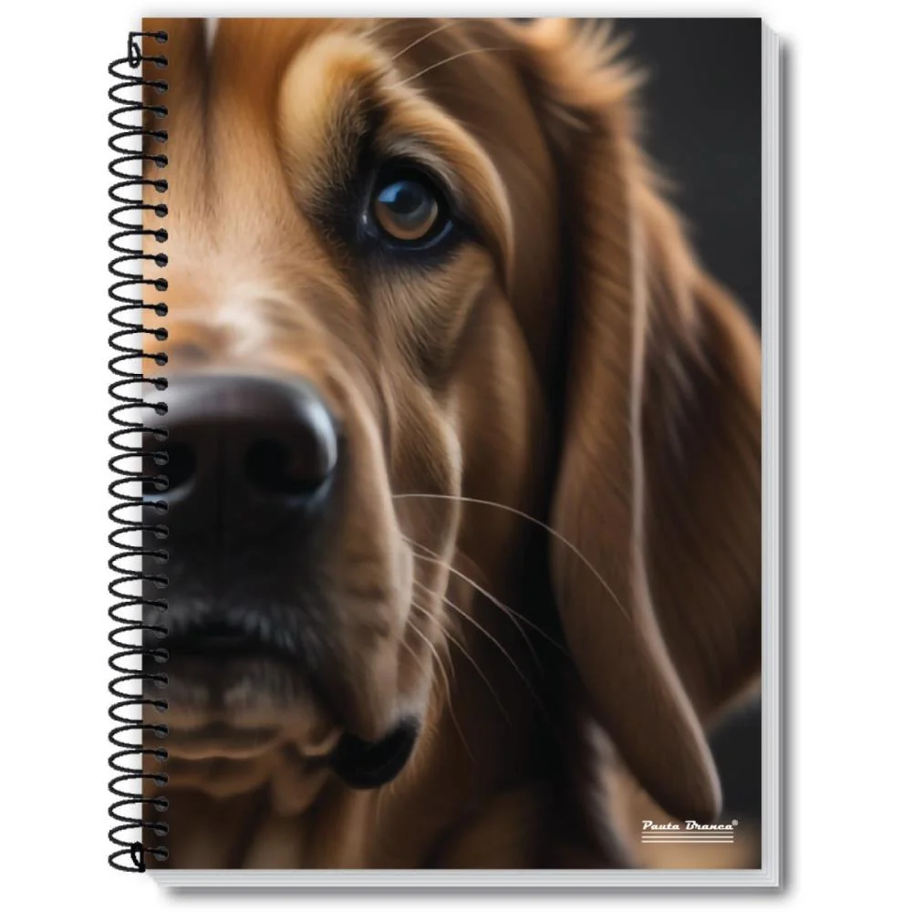 Caderno 10X1 Capa Dura Rox 200Fls. Pauta Branca (Pct.c/03)