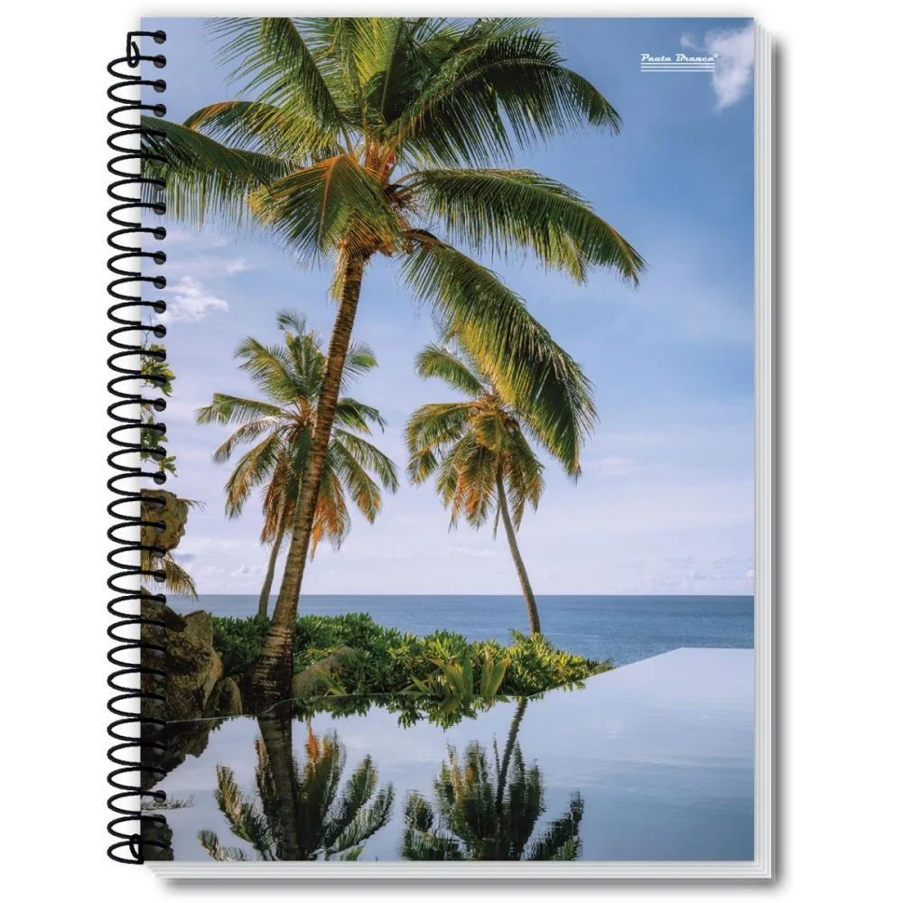 Caderno 01X1 Capa Dura New 96Fls. Pauta Branca (Pct.c/05)