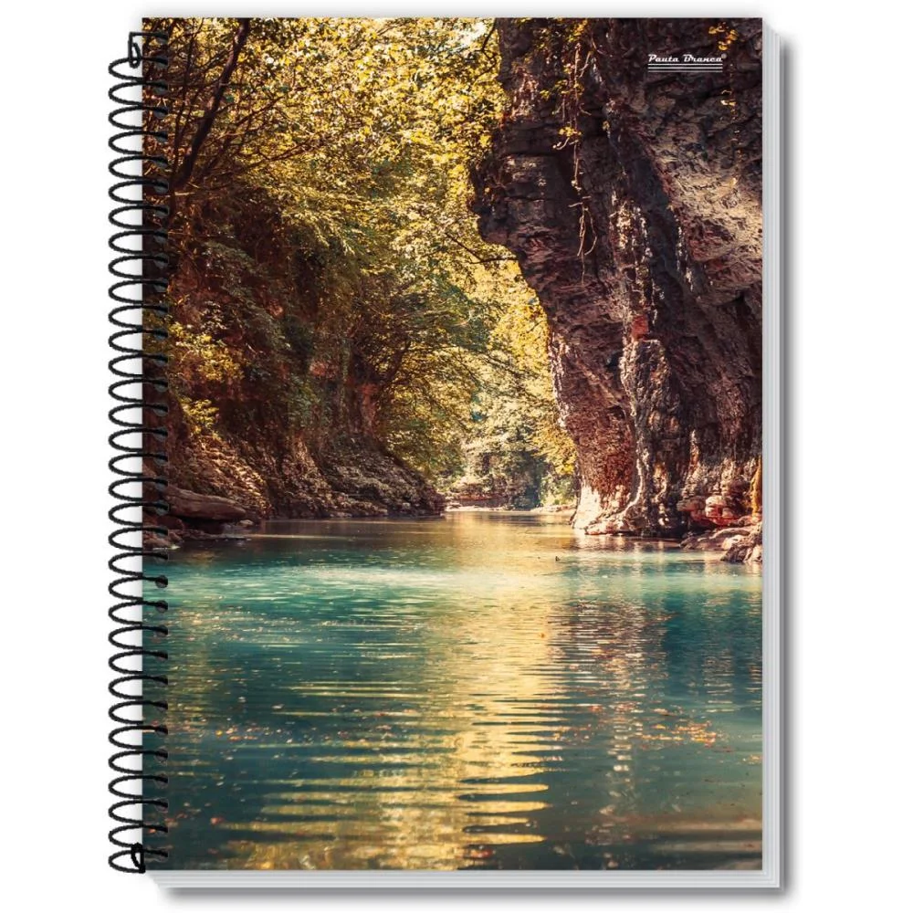 Caderno Espiral 1/4 Capa Dura New 200Fls. Pauta Branca (Pct.c/05)