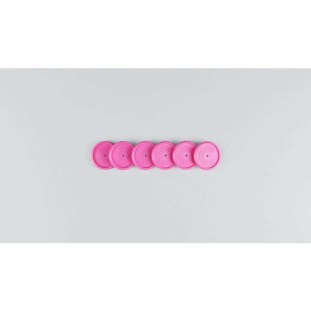 Caderno Inteligente Discos Grande 31Mm 12Discos+Elast Pk Caderno Inteligente (Kit) - imagem 4