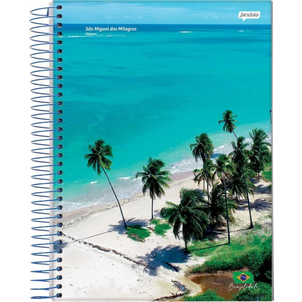 Caderno Espiral 1/4 Capa Dura Brasilidade 200Fls Jandaia (Pct.c/05) - imagem 2