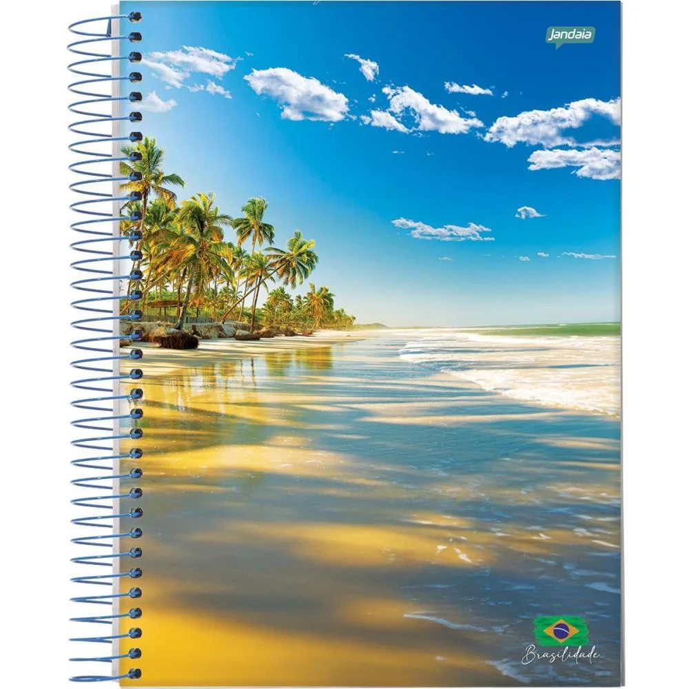 Caderno 20X1 Capa Dura Brasilidade 400Fls. Jandaia (Pct.c/02) - imagem 4