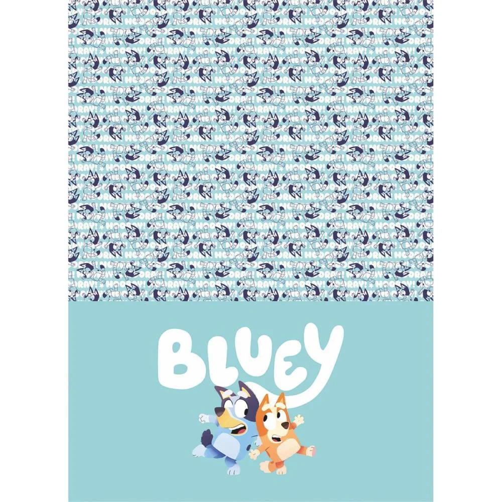 Caderno 01X1 Capa Dura Bluey 80Fls. I.a Jandaia (Pct.c/04) - imagem 9