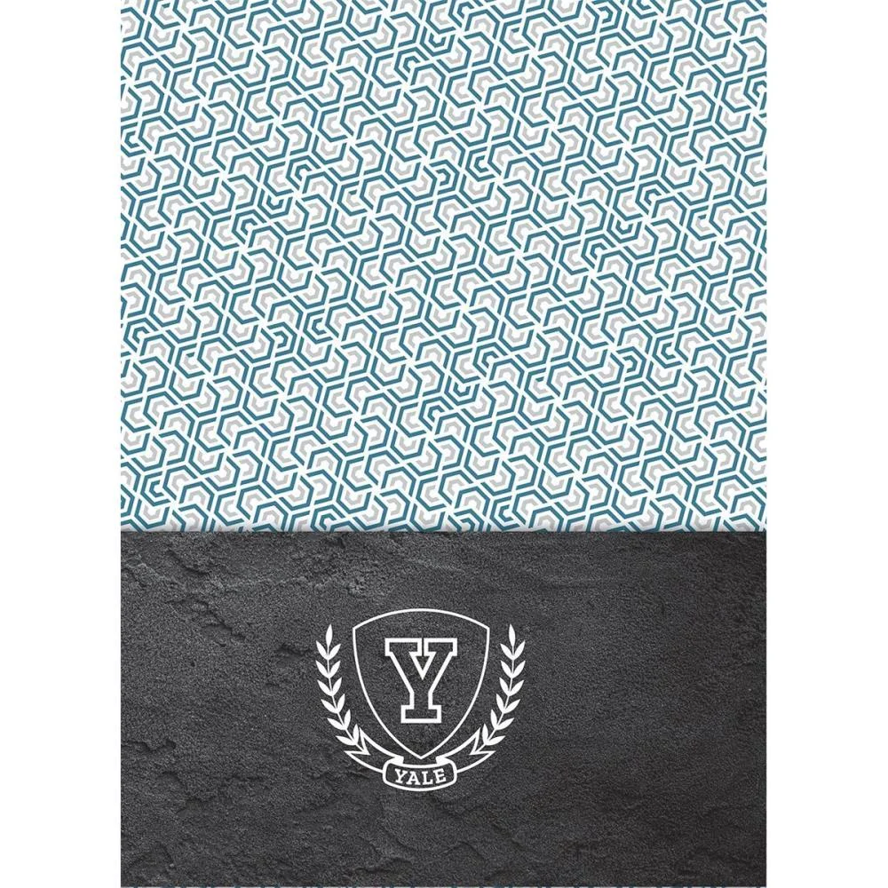 Caderno Espiral 1/4 Capa Dura Yale 80Fls. Jandaia (Pct.c/05) - imagem 9