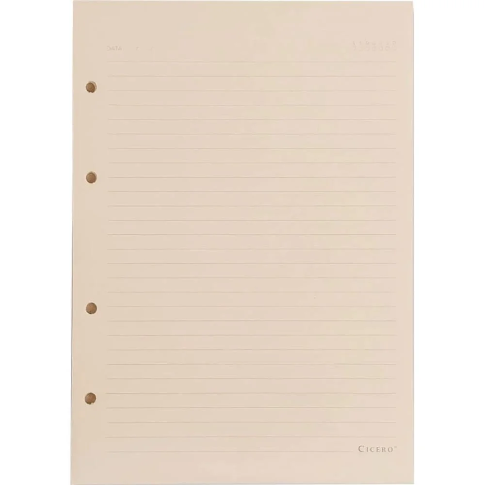 Caderno Criativo Refil Pautado 40F 80G 170X240 Cicero (Pacote) - imagem 3