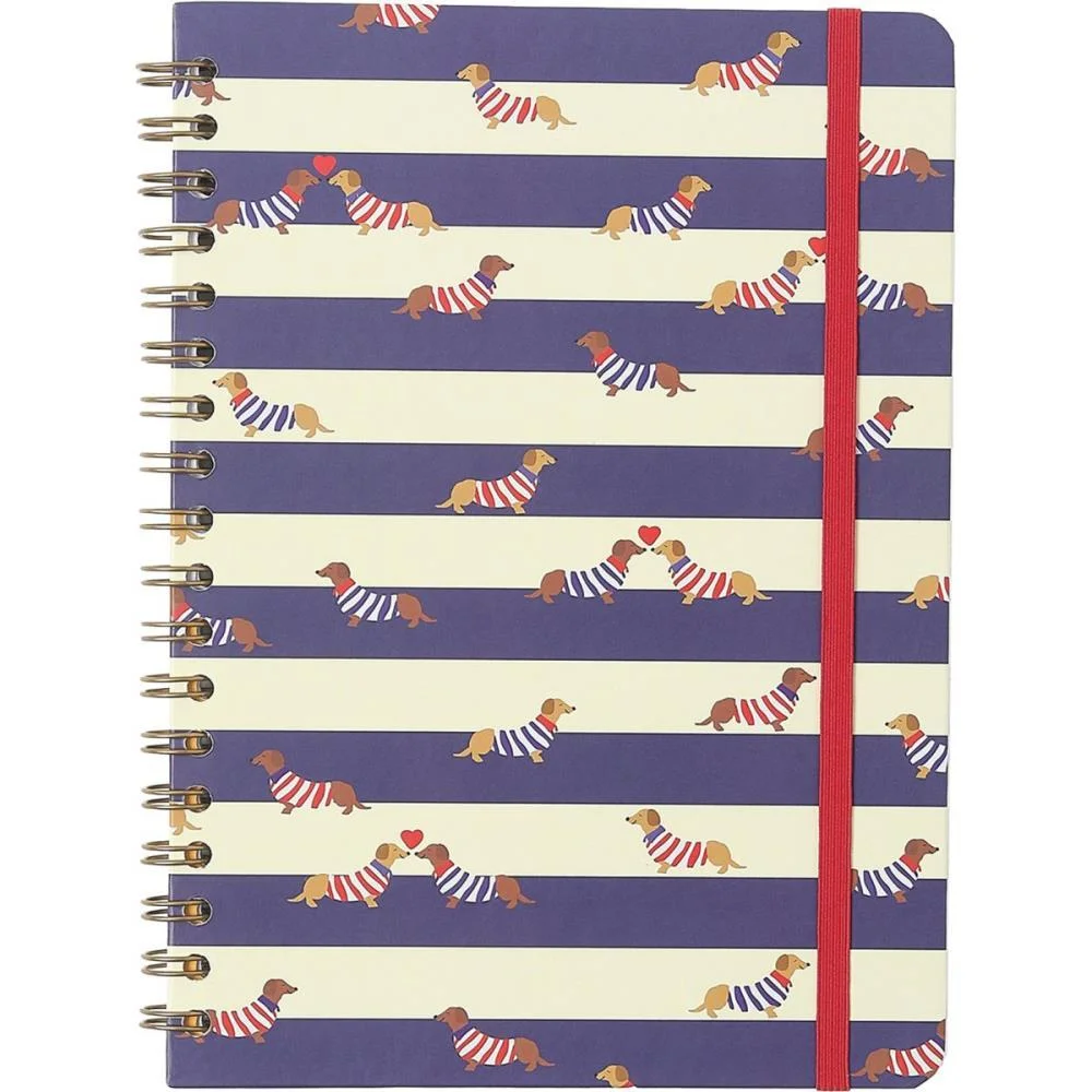 Caderno 01X1 Cp.dura Colegial Praia Cachorros 80F Cicero (Unidade) - imagem 6