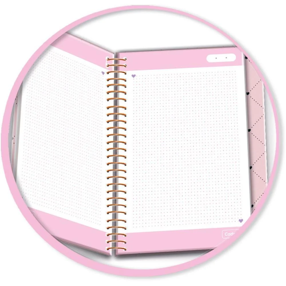Caderno 01X1 Cp.dura Colegial Audrey 3Em1- 100Fls (S) Cadersil (Unidade) - imagem 6