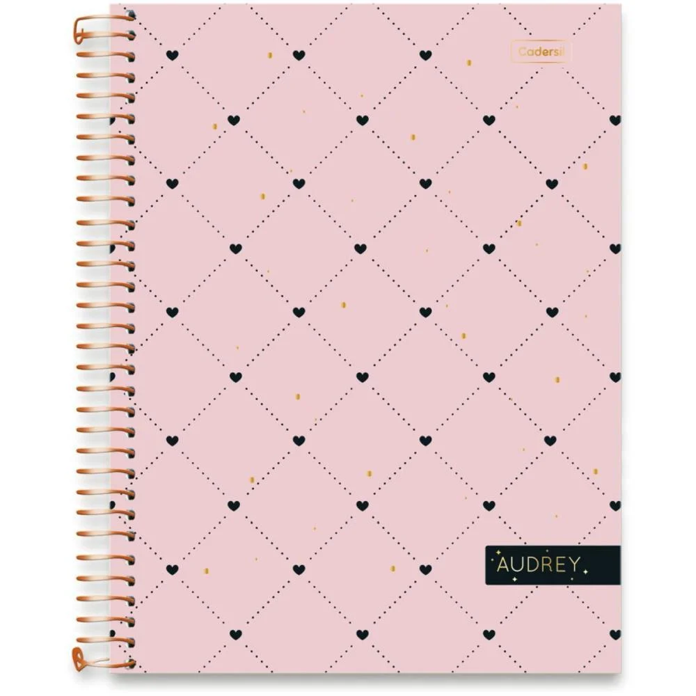 Caderno 10X1 Capa Dura Audrey 160Fls Cadersil (Pct.c/04) - imagem 12