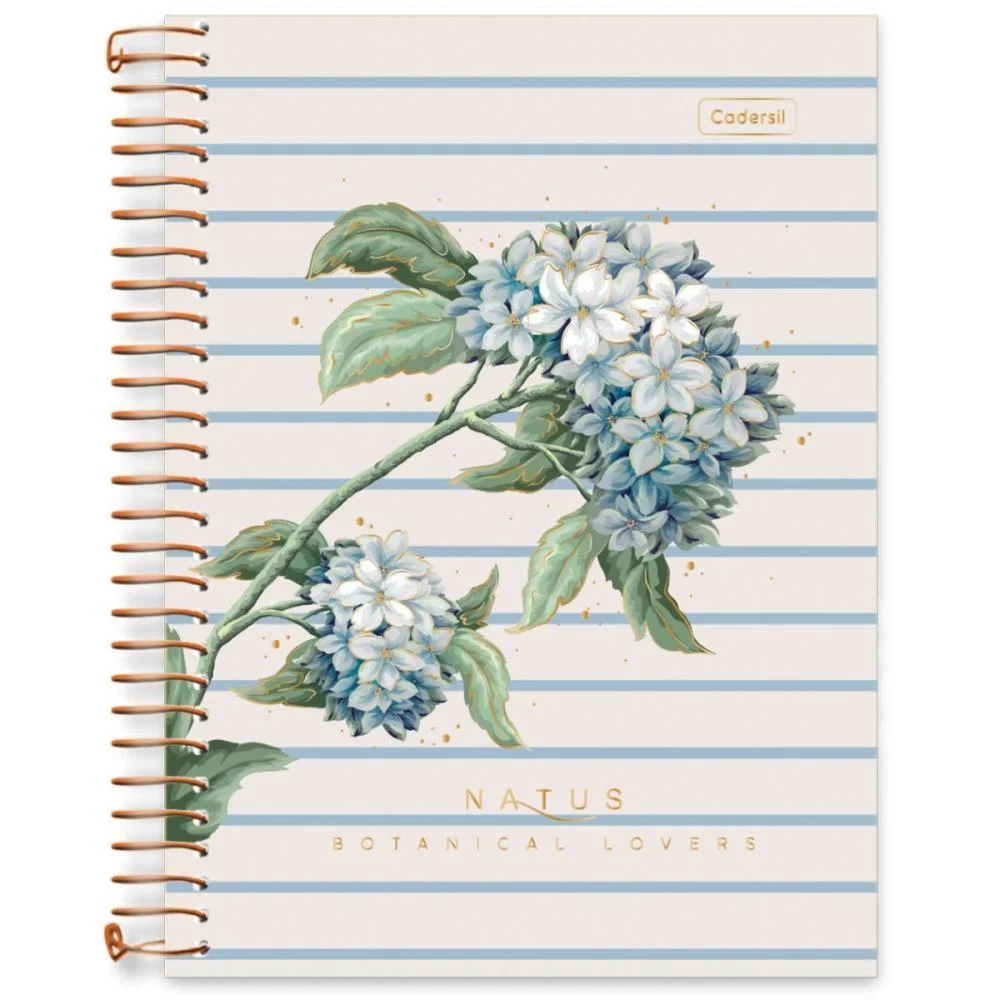 Caderno 10X1 Cp.dura Colegial Natus 160Fls Cadersil (Pct.c/04) - imagem 12
