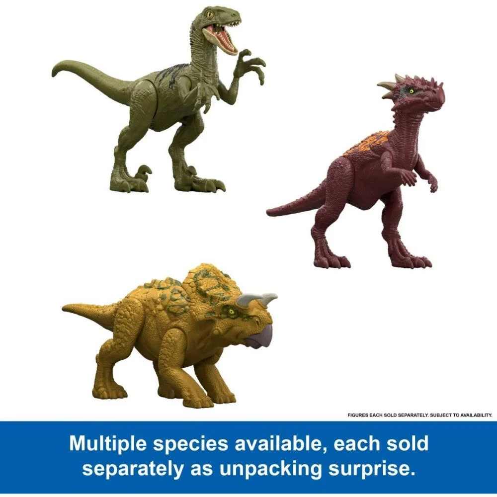 Boneco E Personagem Jw Dino Reveal Sort.1 (S) Mattel (Unidade) - imagem 5