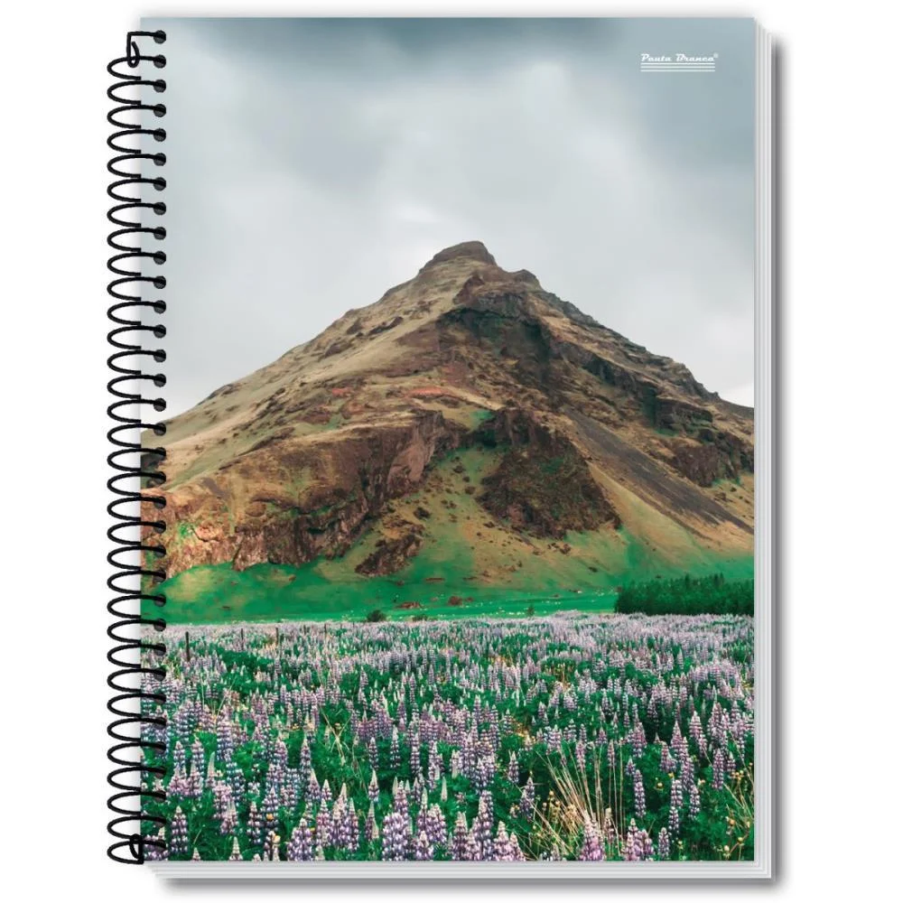 Caderno 01X1 Capa Dura New 96Fls. Pauta Branca (Pct.c/05) - imagem 4