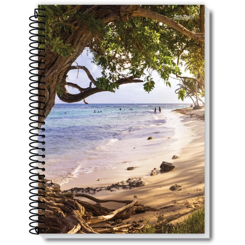 Caderno 01X1 Capa Dura New 96Fls. Pauta Branca (Pct.c/05) - imagem 5