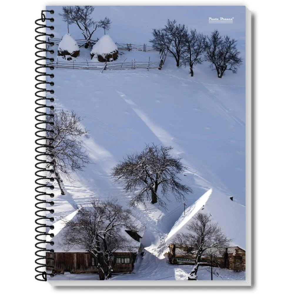 Caderno Espiral 1/4 Capa Dura New 200Fls. Pauta Branca (Pct.c/05) - imagem 4