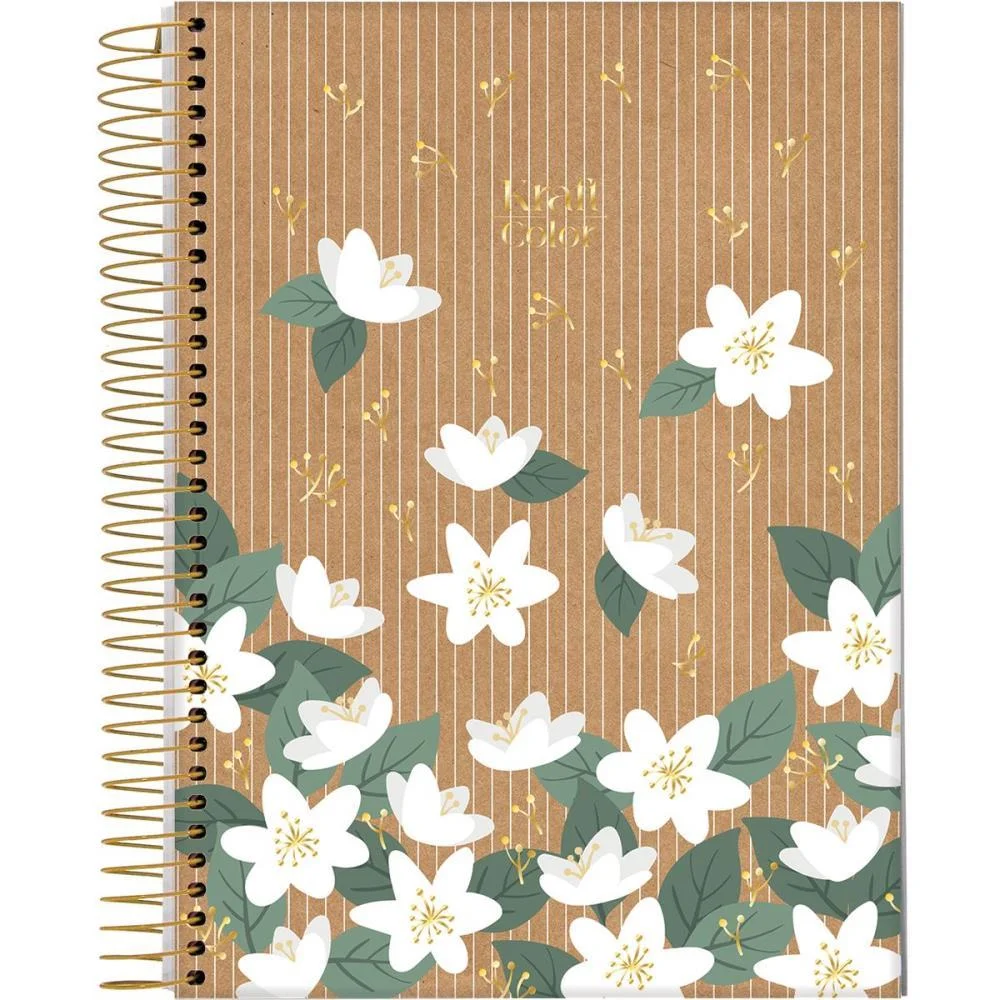 Caderno 10X1 Capa Dura Kraft Color 160Fls. I.a Jandaia (Pct.c/04) - imagem 5