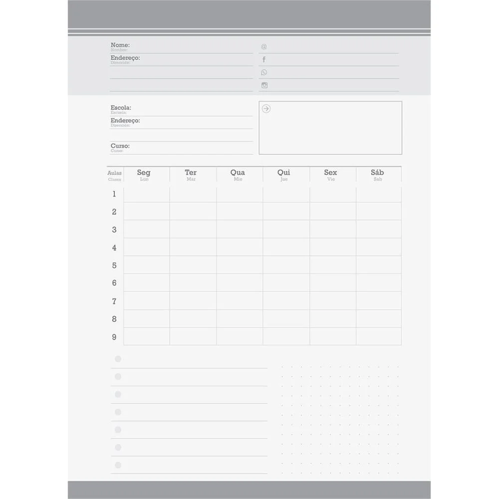 Caderno 10X1 Capa Dura Flork 160Fls. I.a Jandaia (Pct.c/04) - imagem 11